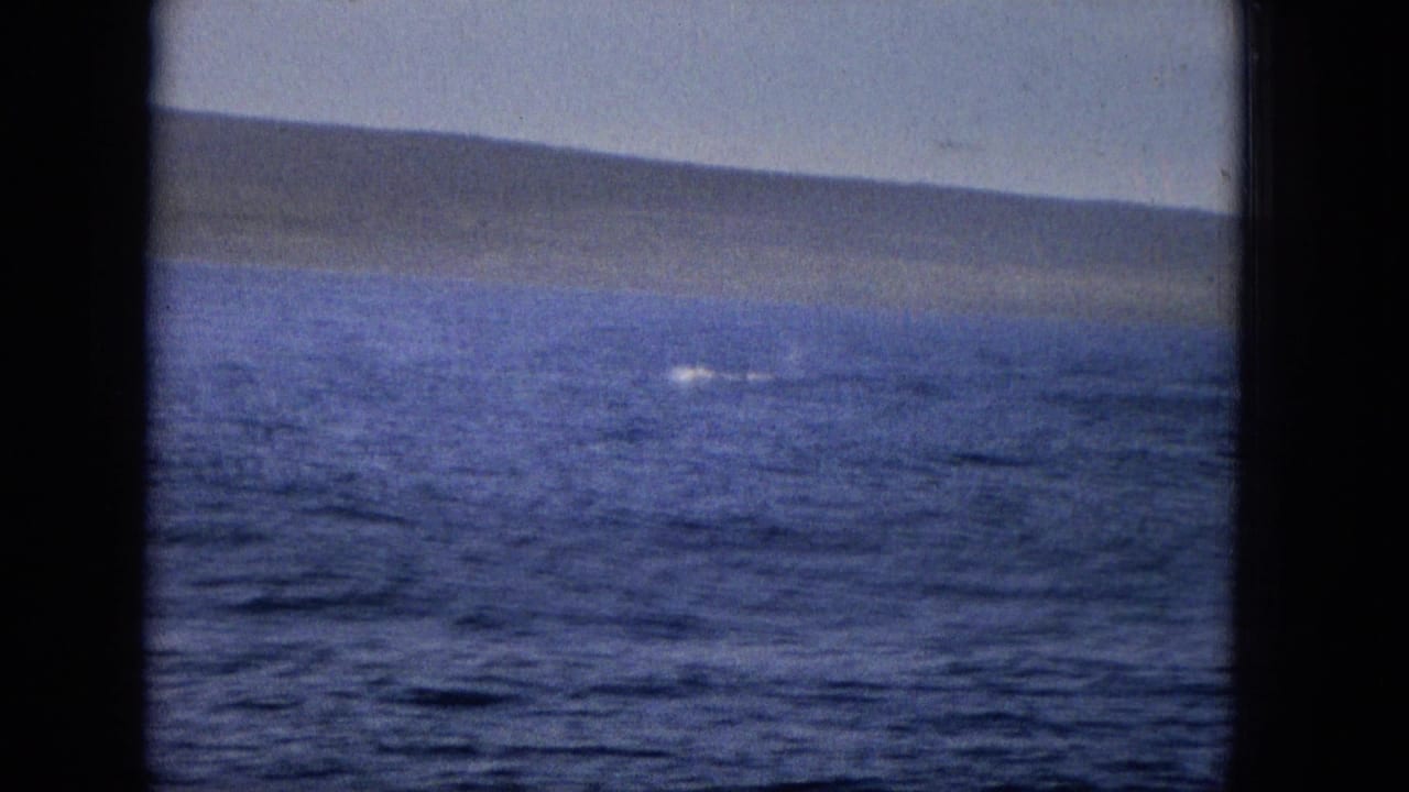 Blue ocean and low distant coast with a small bright splash on the water.