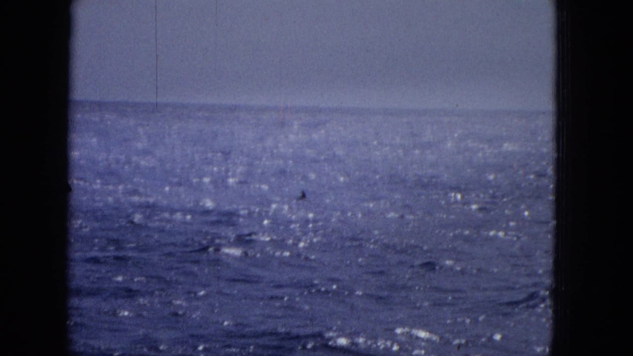 1965 archival home-movie frame showing blue ocean water, a pale horizon, and dark vertical window framing with no people visible.