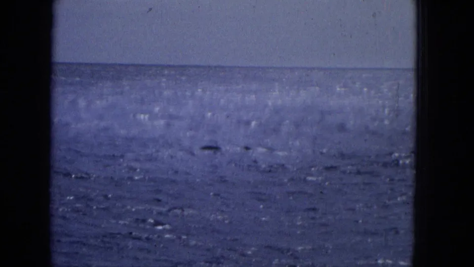 1965 archival frame showing open blue water, horizon, dark framing, and a small dolphin-like shape briefly visible near the ocean surface.