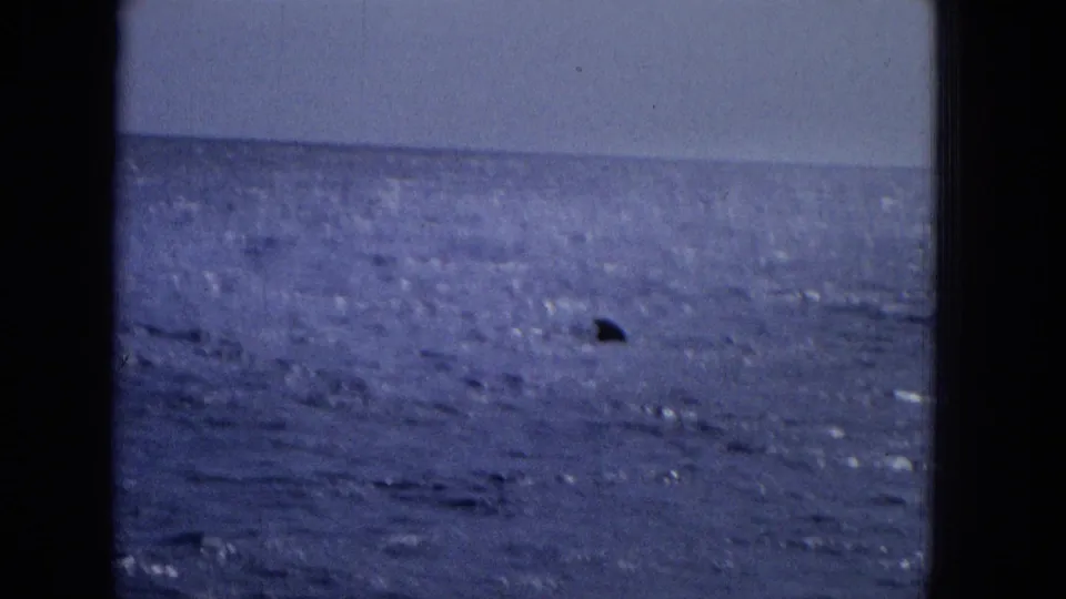 1965 8mm home-movie frame of open water near Molokai, with a small dark fin or marine shape visible against the rippled blue ocean.