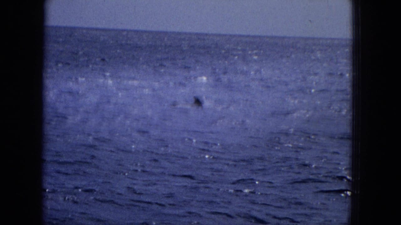 Blue ocean and horizon with a small dark shape on the water.