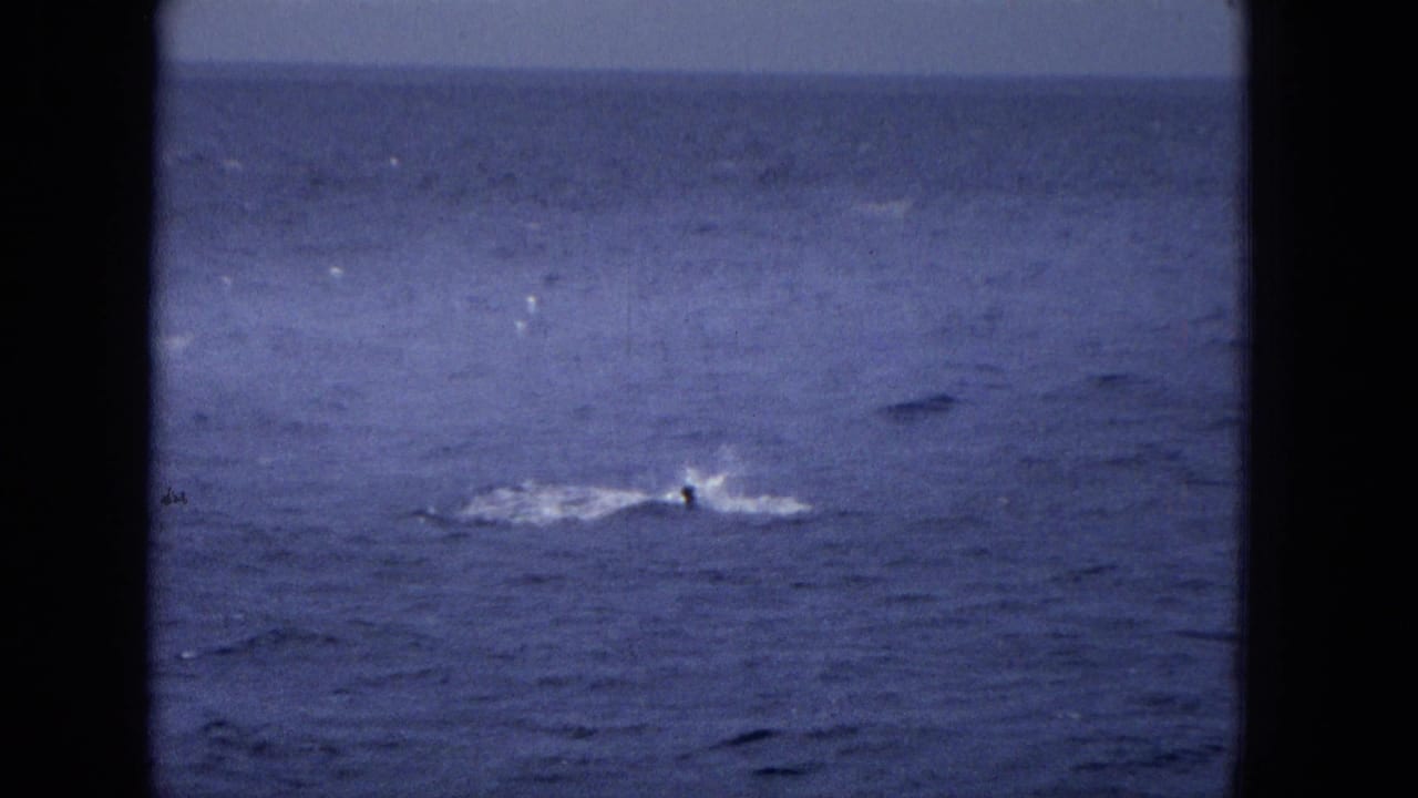 Distant ocean view from the 1965 home-movie clip, with a small dark whale shape or fin surfacing beside white water under a level horizon.