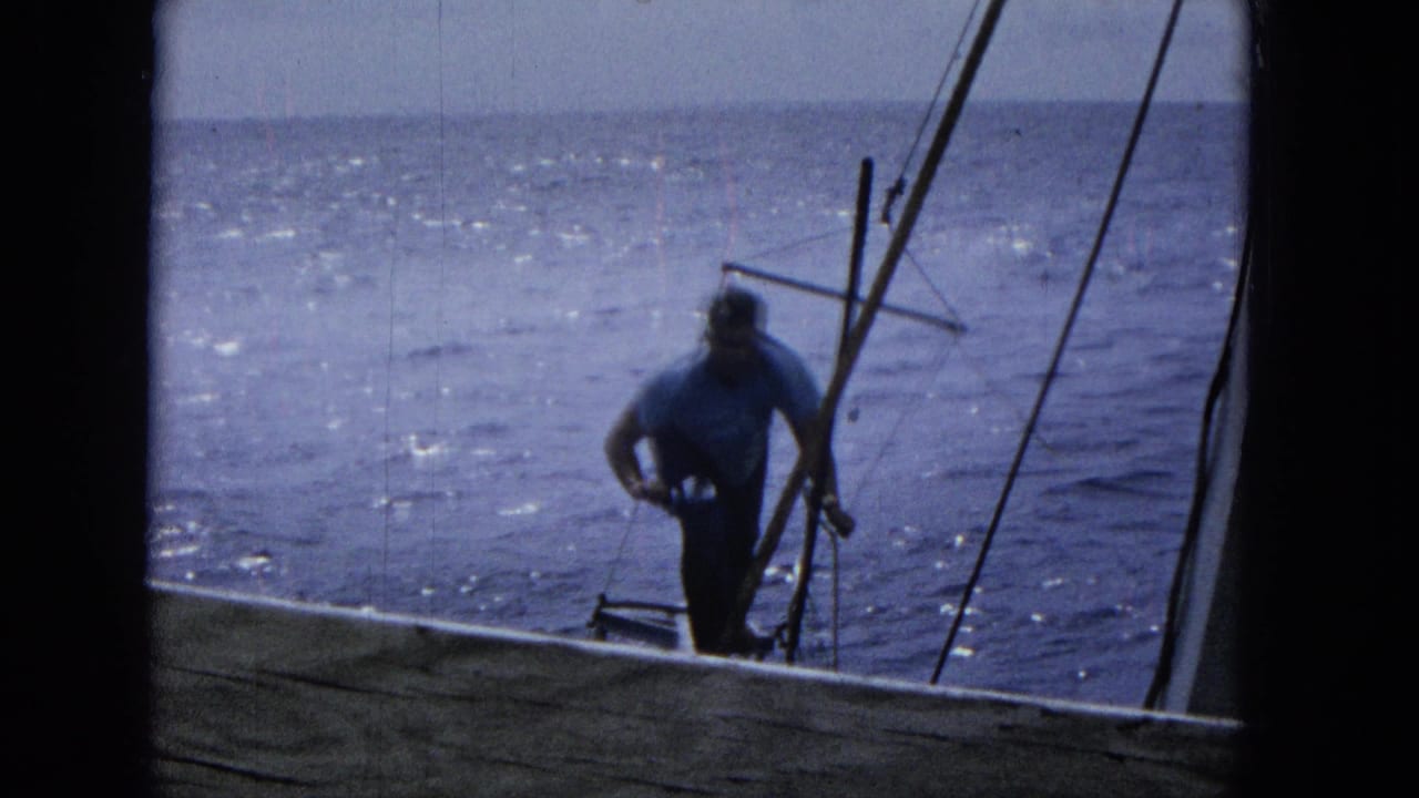 Man standing by sailboat rigging with bright ocean in the background.