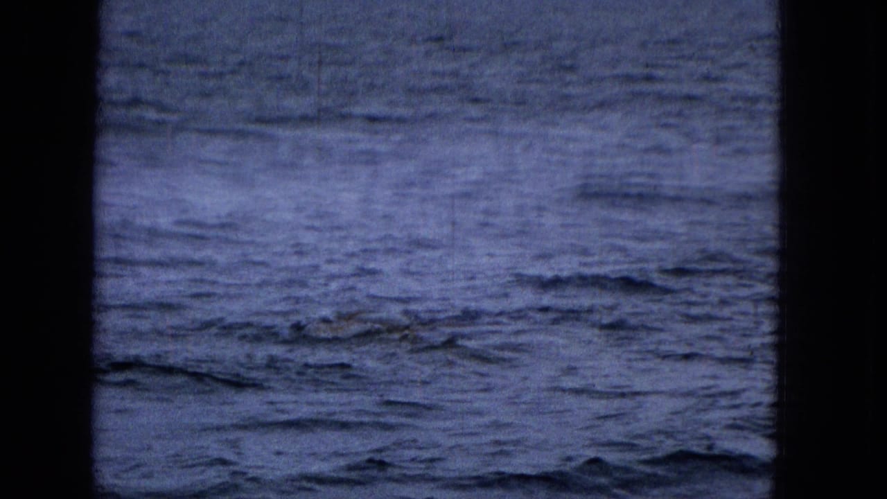 Open blue water fills the frame through dark vertical edges.