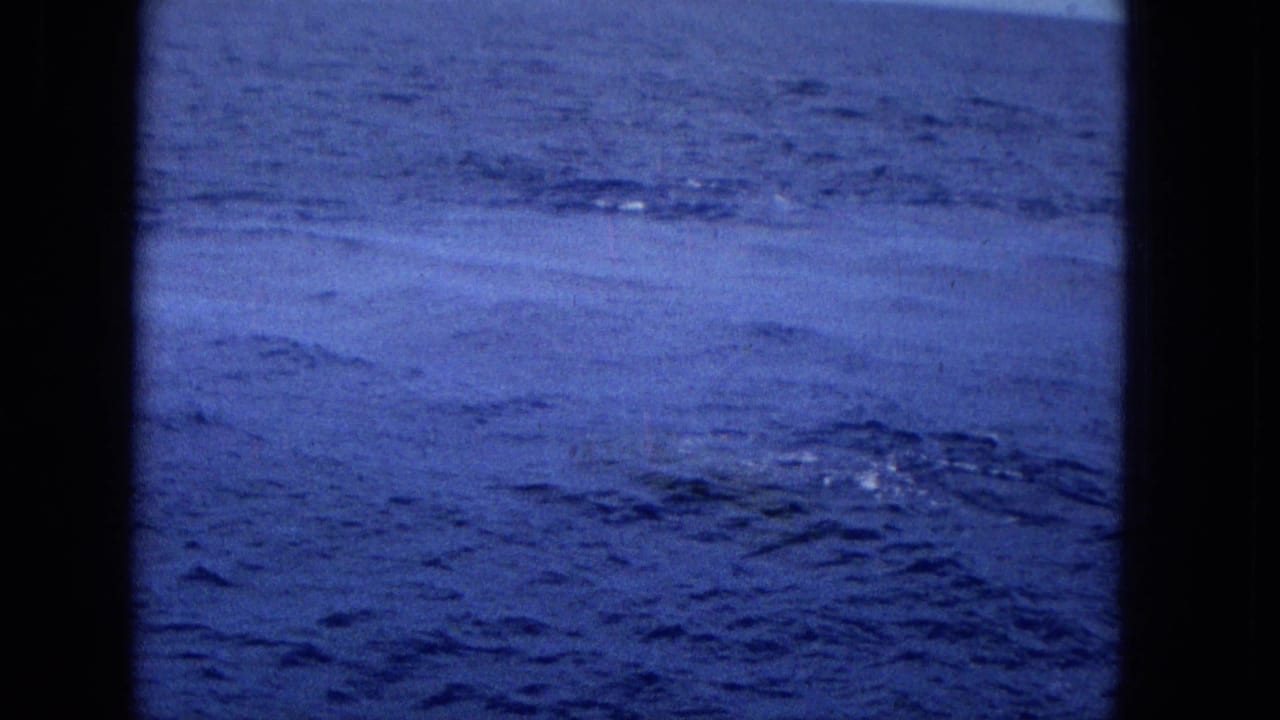 1965 Super 8 frame of open ocean off Hawaii, with a low horizon, rippling blue water, and dark film-frame borders, before the marine animal is clearly visible.