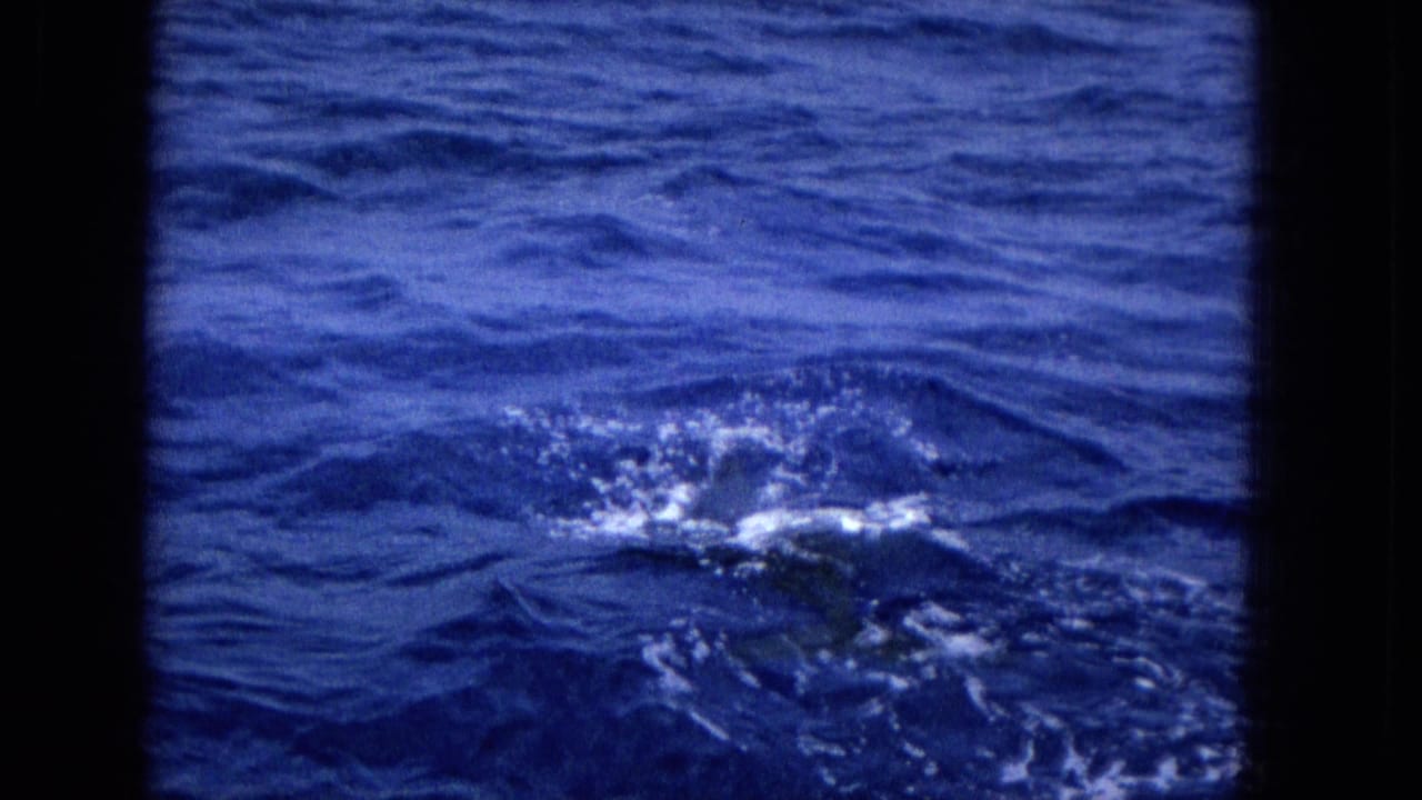 1965 8mm home-movie frame showing choppy blue ocean water with a central surface splash that may be a whale surfacing.