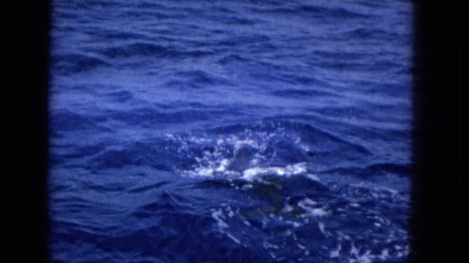 1965 8mm home-movie frame showing choppy blue ocean water with a central surface splash that may be a whale surfacing.