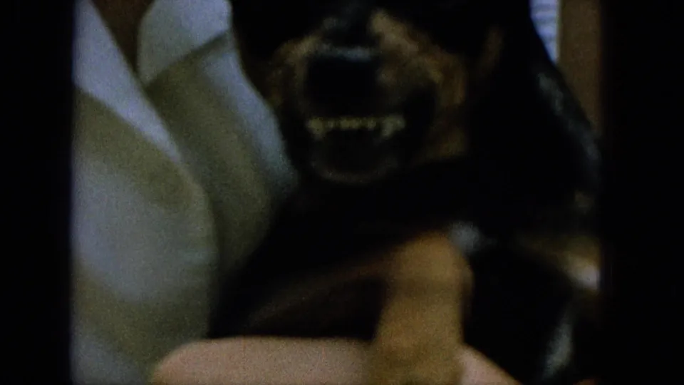Close 1965 Super 8-style frame of a small dark-and-tan dog being held by a person in a light shirt while the dog shows its teeth.