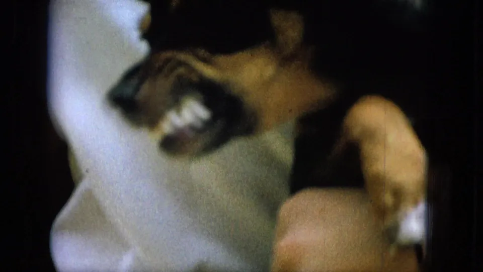 1965 home-movie frame showing a small dog in soft profile with teeth visible, held close against a person's light-colored shirt.