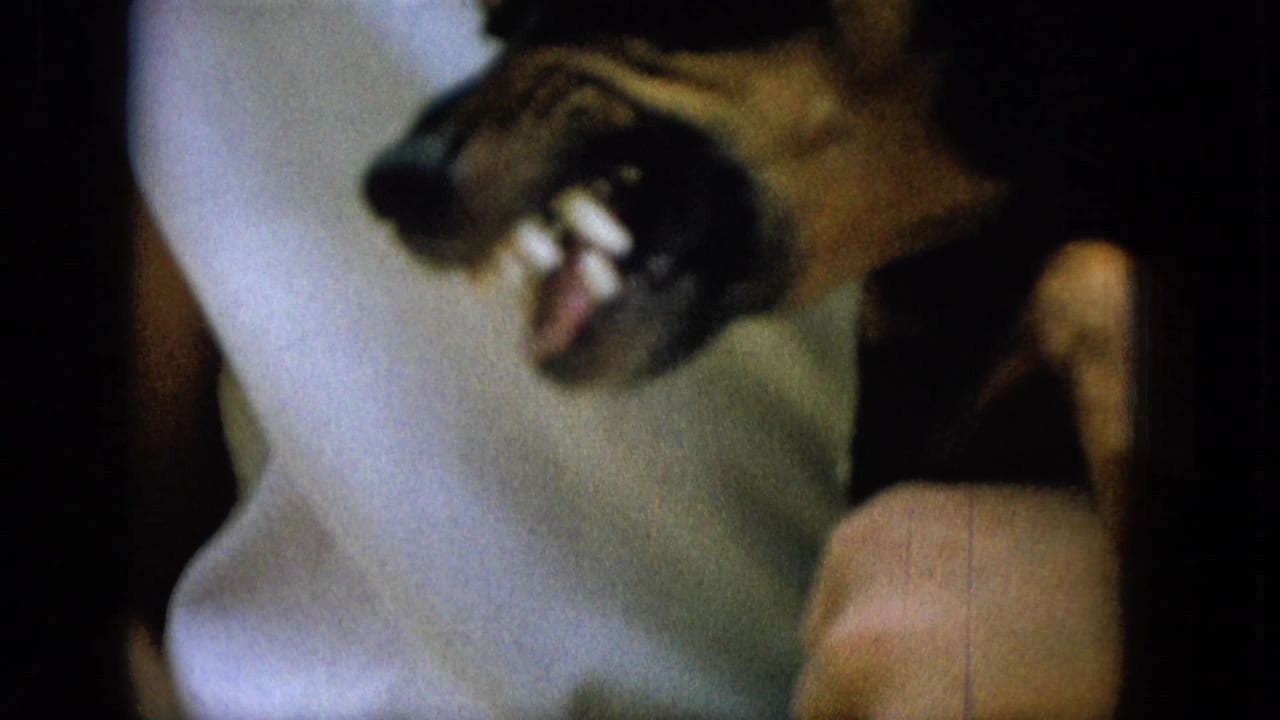 1965 Super 8 frame showing a close, soft-focus view of a black-and-tan dog baring its teeth near pale fabric in a domestic setting.