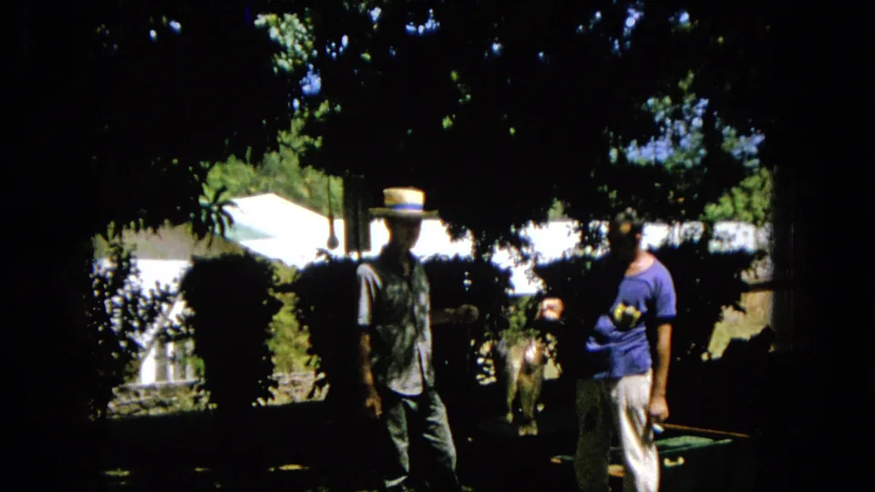 Two adult men remain in a shaded garden scene, with the man in the blue T-shirt gesturing and a small animal or indistinct object partly visible between them.