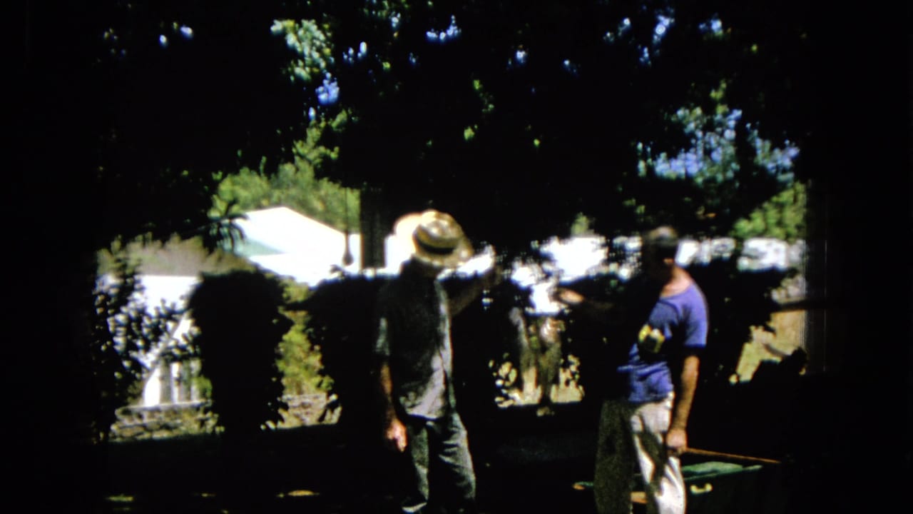 Two men face each other in a shaded yard beside shrubs and a bright background.