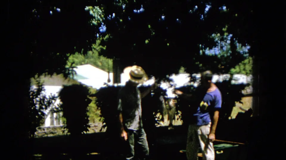 Two adult men in a backyard appear to converse or prepare to show something, with strong contrast between tree shade and sunlit areas behind them.