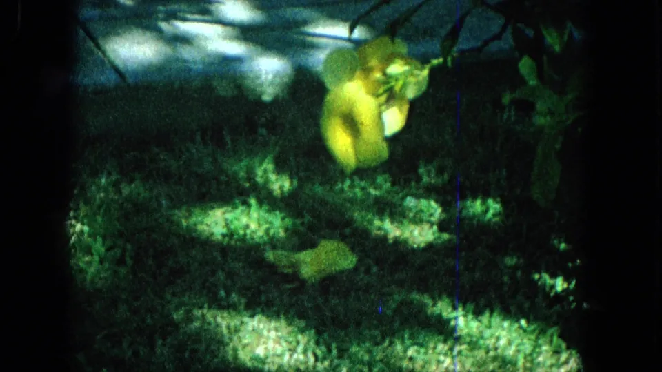 Soft, green-tinted 1965 home-movie frame showing a yellow blurred object or possible flower in water above a mottled grassy or aquatic background.