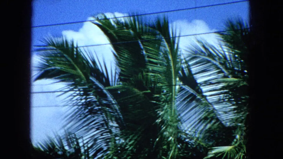 Palm tree fronds sway against a bright blue sky with white clouds and thin overhead wires, continuing the tropical home-movie atmosphere.