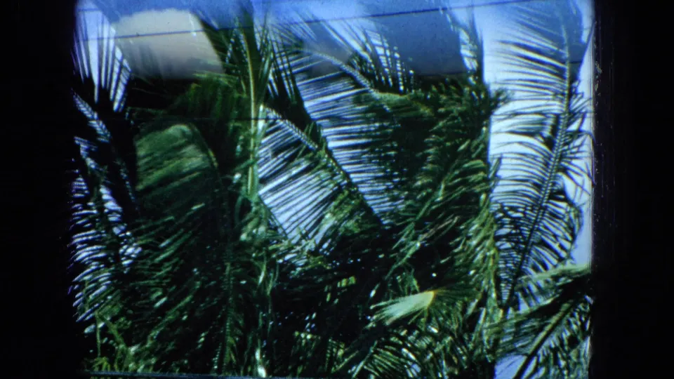 1960s Super 8 frame showing windblown palm fronds seen through dark window framing, with blue sky and faint overhead wires visible.