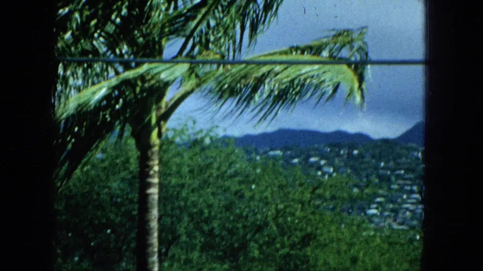 A palm trunk and long frond cross a window-framed view of green hillside, distant houses, clouds, and low mountains in likely tropical U.S. footage from 1965.