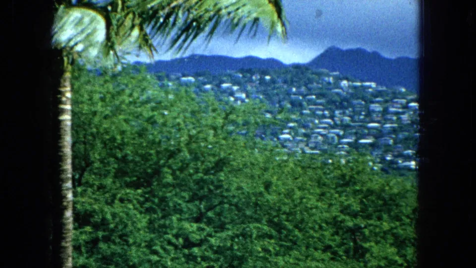 The frame looks past palm fronds and green vegetation toward a hillside dotted with houses and dark mountains under a cloudy blue sky.