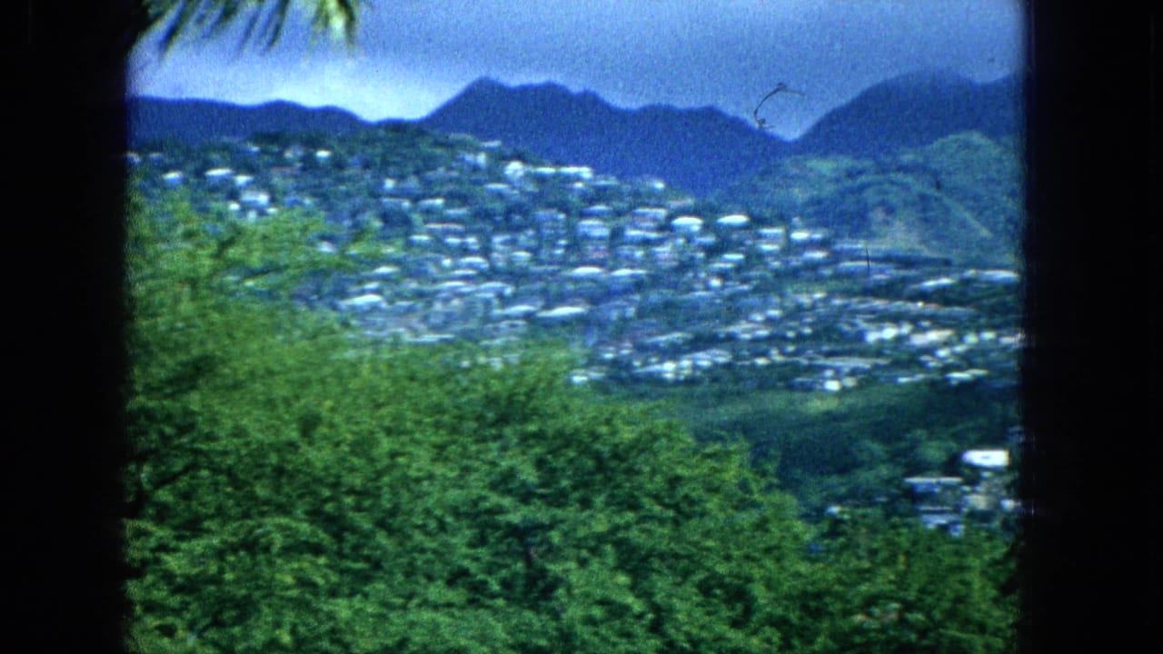 1965 Super 8 frame of a distant hillside village on Molokai, with dense foreground trees and dark blue mountain ridges beyond.