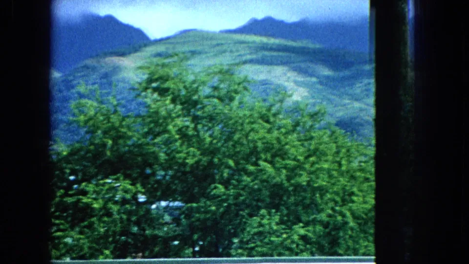 Molokai mountain landscape in a 1965 Super 8 frame, with leafy foreground trees and open green slopes beneath dark blue ridgelines.