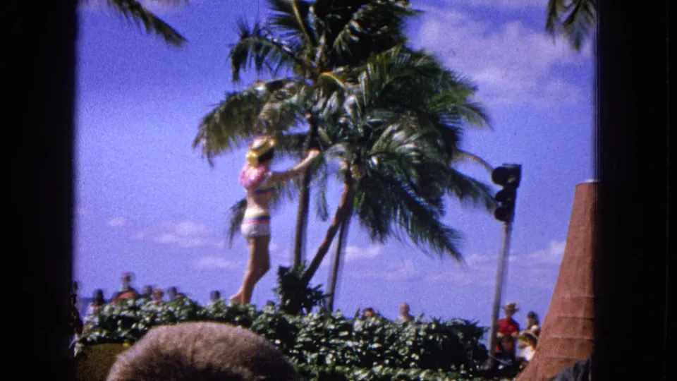 Hawaiian parade frame from 1965 showing a decorated float passing palm trees, with a performer elevated above foliage and spectators along the street.