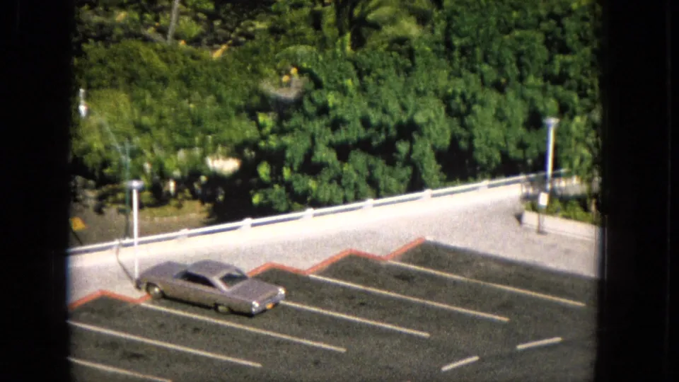1965 Molokai frame from above showing a gray sedan parked near red curb markings, a white railing, and thick tropical vegetation.