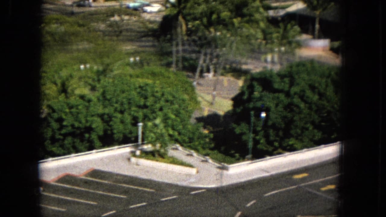 1965 Super 8 frame showing an elevated view over a palm-lined tropical town street, with dense greenery, a curved road, and a white building partly obscured by dark window or railing edges.