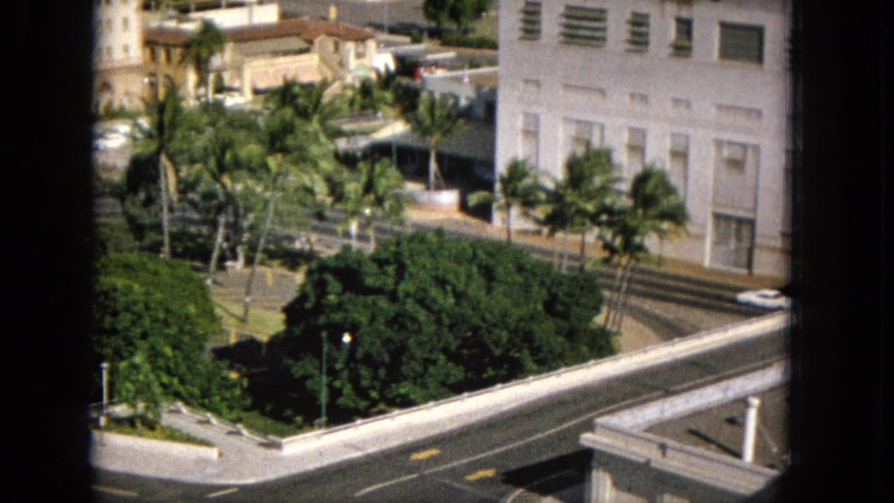 White building, palm trees, curved road, and greenery viewed from above.