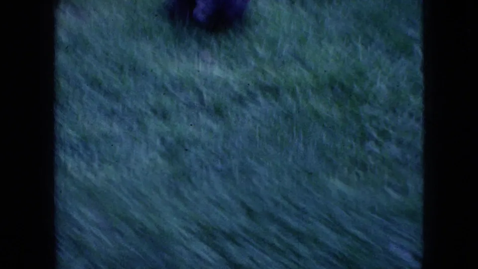 The final 1965 Wellsburg, Iowa 8mm frame is motion-blurred, with the dark bird-like animal partly visible near the top edge above streaked green grass.