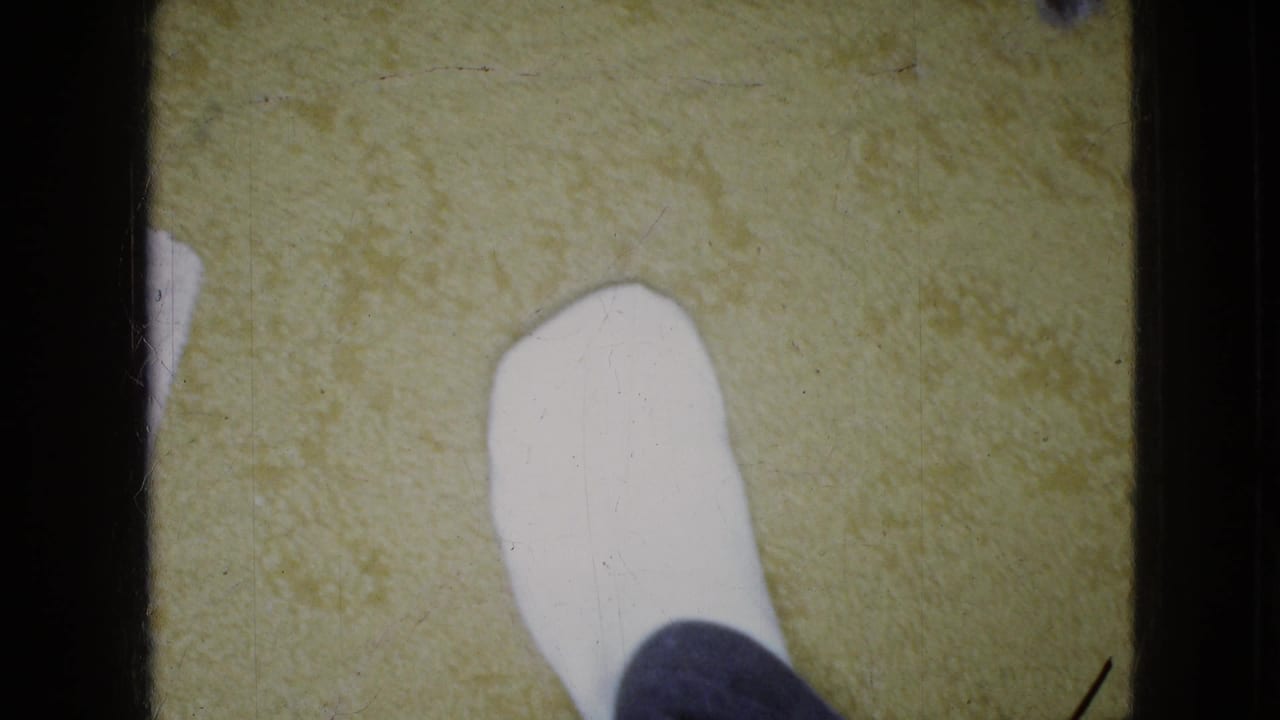 White shoe or socked foot on yellow carpet with the dog mostly out of frame.