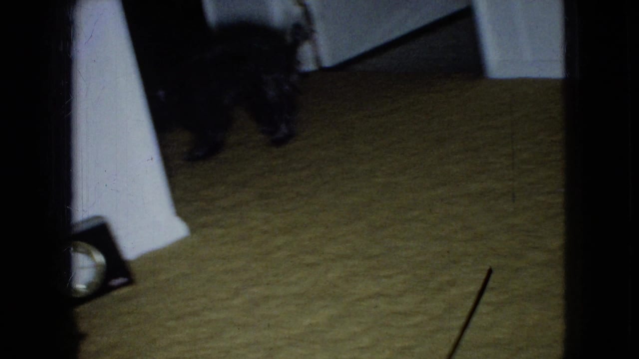 In this Wellsburg, Iowa 1965 home-movie frame, a small dark dog is partly visible near white doorway trim on a carpeted floor inside a private room.
