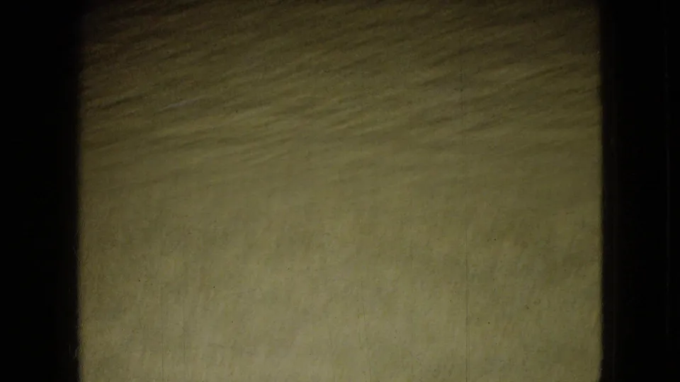 This soft 8mm frame shows the carpeted interior floor after the dog has moved out of view, with doorway edges and dark film borders framing the room.
