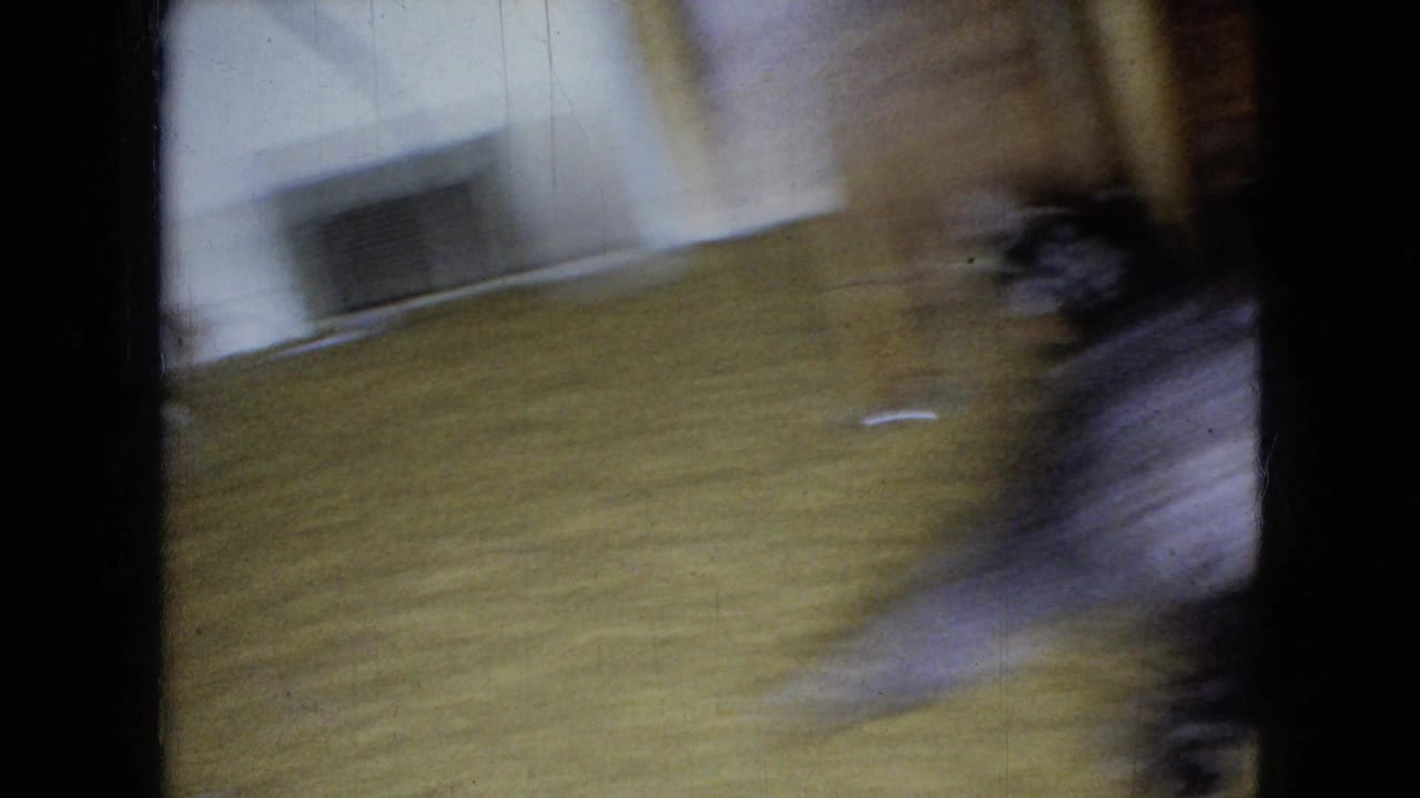 Blurred poodle moving quickly across yellow carpet in a home interior.