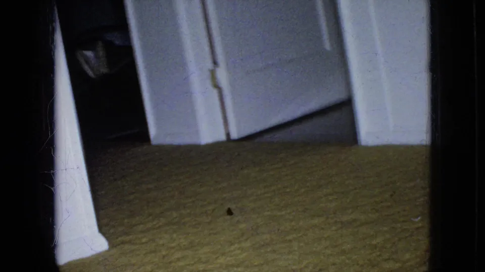 In this 1965 Wellsburg, Iowa home-movie frame, a small grey shaggy dog appears partly hidden in a dim doorway beside white interior trim and greenish-yellow carpet.