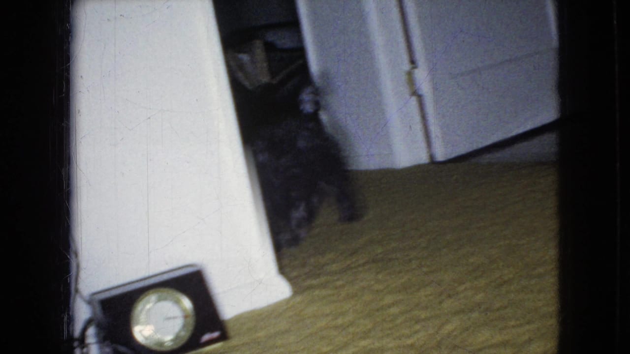Small shaggy dog steps out near a doorway with a clock radio on the carpet in front.