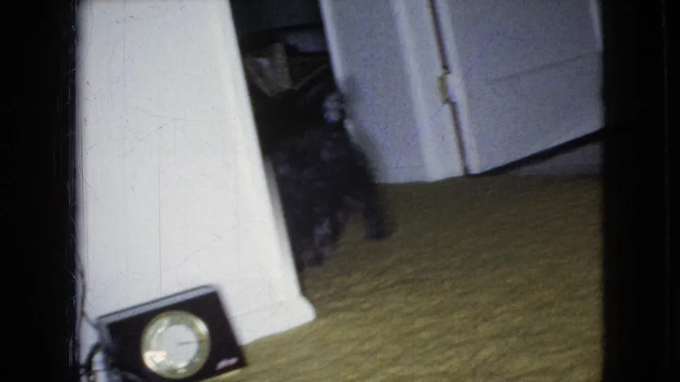 The small shaggy dog emerges farther into the room near a white doorway, with a low clock radio visible on the carpet in the foreground.