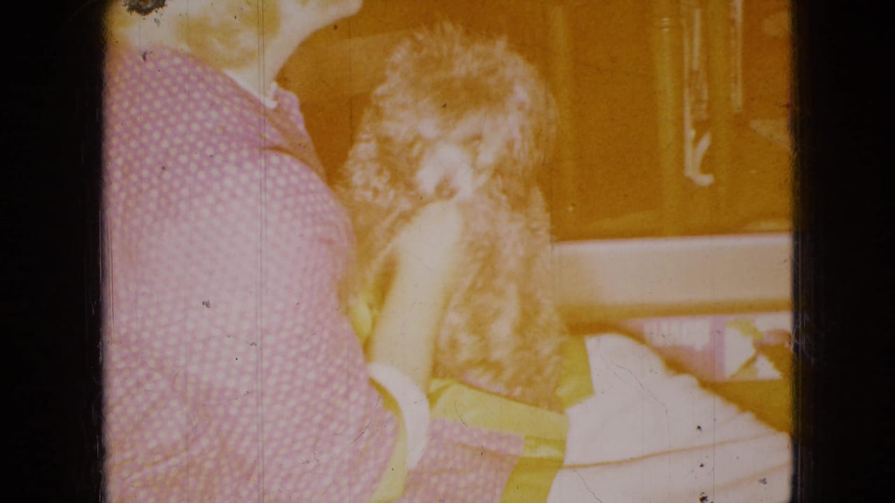 In this 1965 home-movie frame from the United States, a blonde person sits indoors holding a small light-colored dog, with warm exposure and visible film wear.