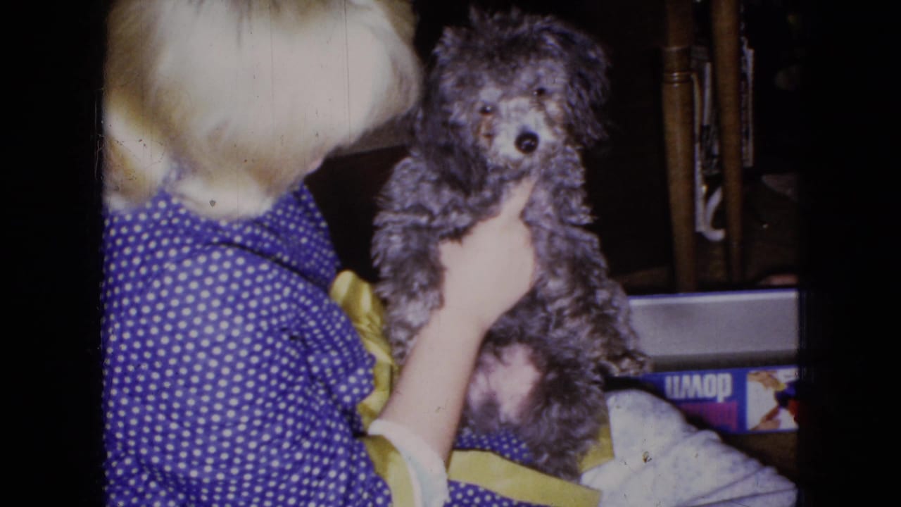 Blonde person in a blue polka-dot dress holding a small gray dog on a lap indoors.