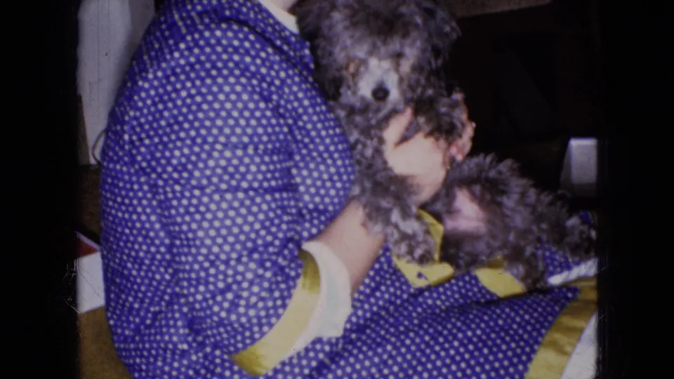 A close indoor view shows the blue polka-dot dress and small gray dog near a patterned fabric or blanket, with the dog partly turned toward the camera.