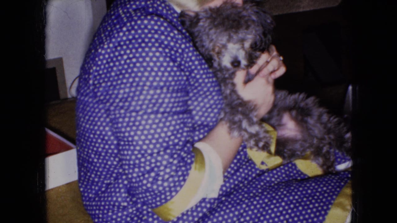 In a 1965 Wellsburg, Iowa home-movie frame, a seated woman in a blue and white polka dot dress cradles a small gray poodle in a dim interior.