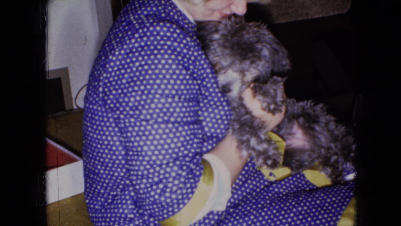 Seated woman holding a gray poodle close against her blue polka dot dress.