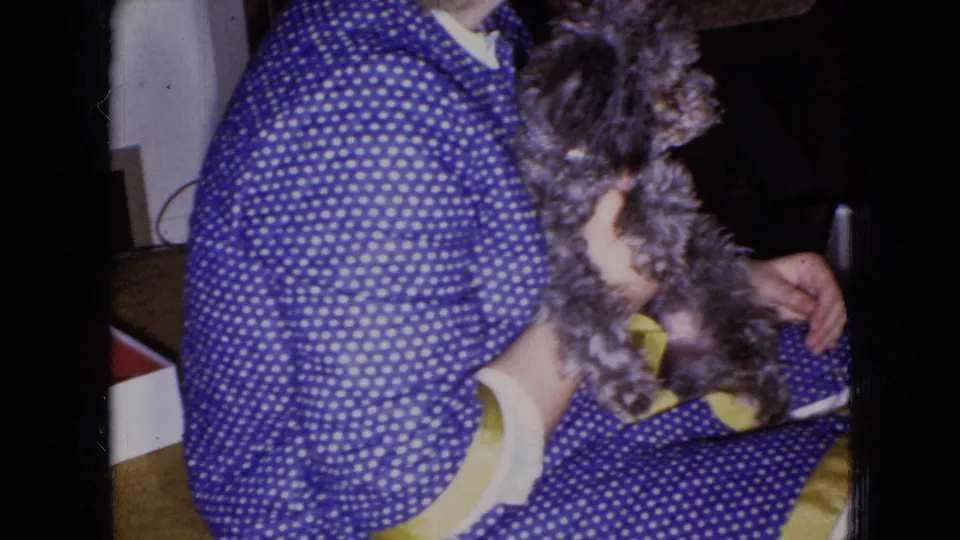 A close home-movie frame shows the gray poodle turned partly away as the seated woman steadies it on her lap inside a private room.