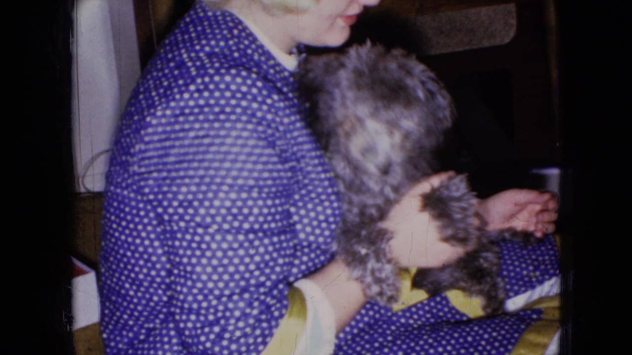 In 1965 home-movie footage from Wellsburg, Iowa, a seated woman in a blue and white polka dot dress holds a small gray poodle puppy against a dark indoor background.
