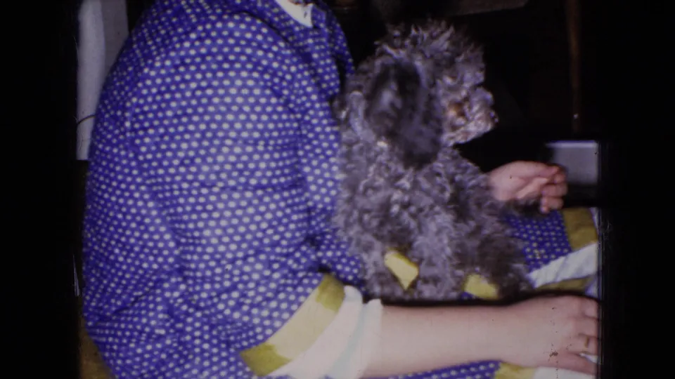 A seated woman in a blue polka dot dress holds a gray poodle puppy that turns sideways, with the dark private interior and 8mm frame edges visible.
