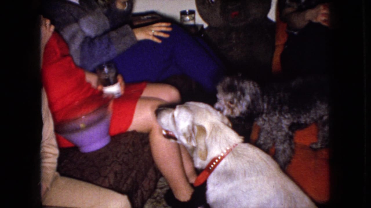 In Wellsburg, Iowa home-movie footage from 1965, a woman in a red dress sits beside other adults while a white dog and a small dark poodle gather near her in a private living room.