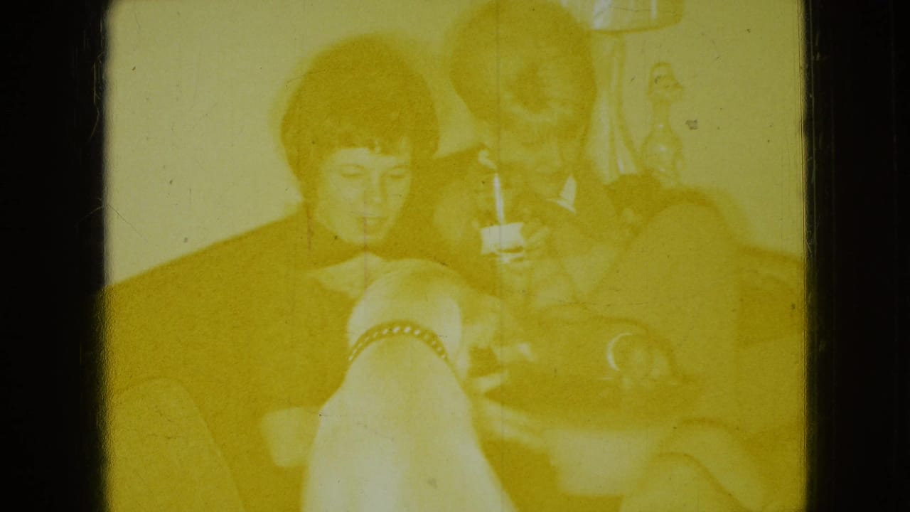 Yellow-shifted 1965 8mm home-movie frame from the Wellsburg, Iowa clip showing adults seated in a living room with a small dog nearby.