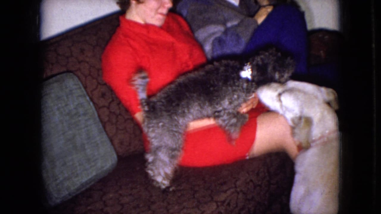 A woman in red smiles as two dogs crowd around her lap on a couch.