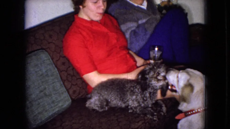 The seated woman holds a glass as the small gray dog and larger light-colored dog meet at the edge of her lap on a patterned couch in the supplied 1965 Iowa home-movie footage.