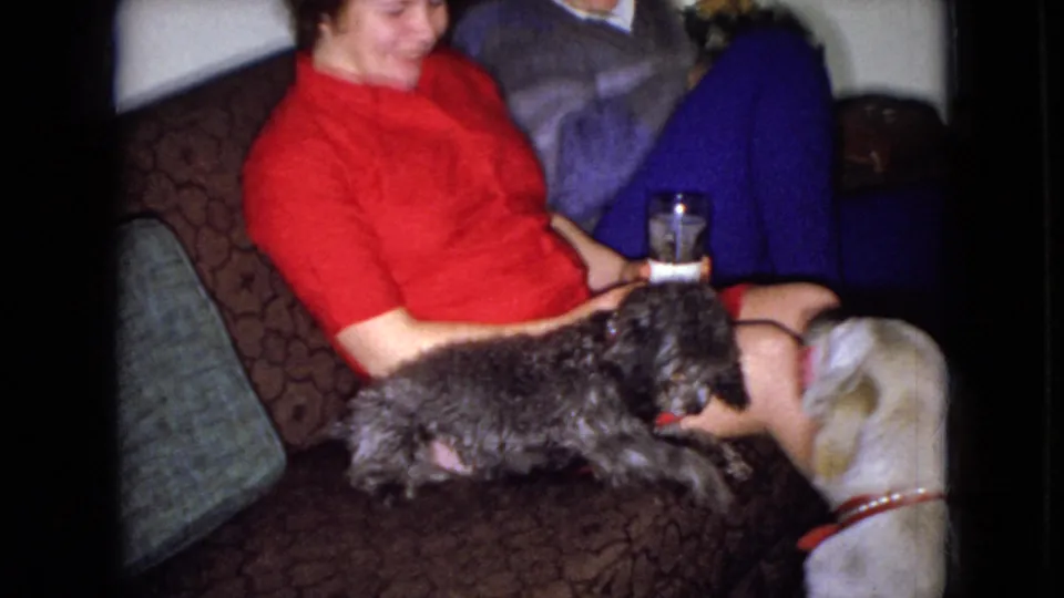 The small curly gray dog stretches across the patterned couch in front of the woman in red while the larger light-colored dog remains beside the couch in the 1965 home-movie frame.