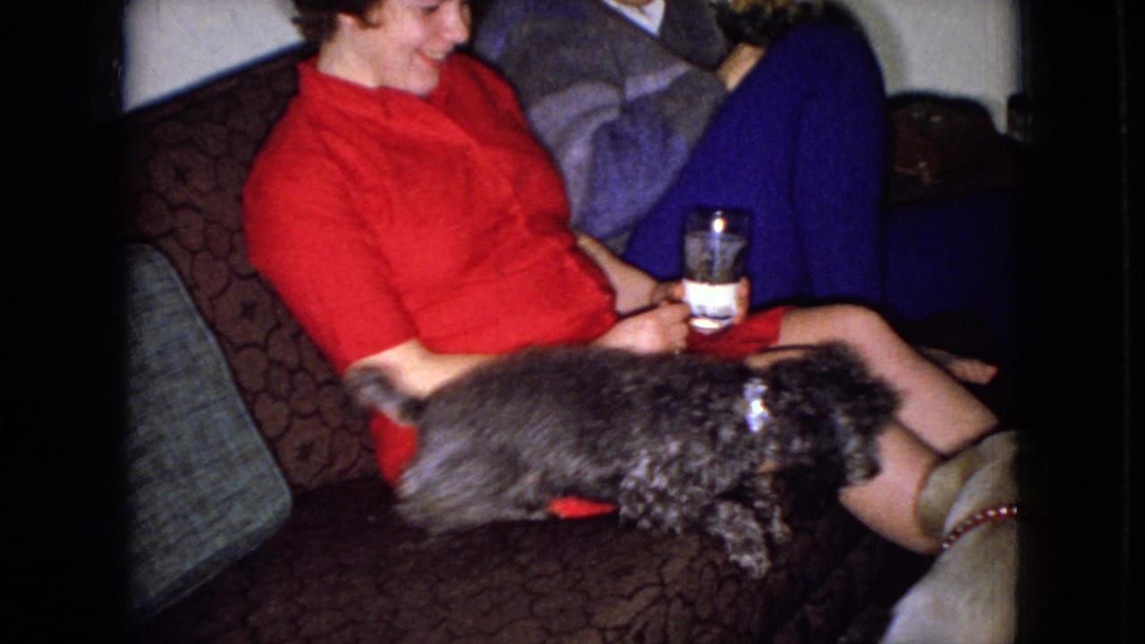 In this 1965 Wellsburg, Iowa home-movie frame, a woman in a red dress sits on a patterned couch while a small dark poodle-like dog rests across her lap.